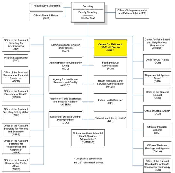 Cms Org Chart