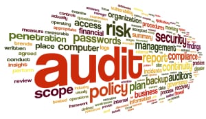 Audit